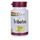 Solaray - Garantizado extracto de Tribulus potencia de frutas Cápsula (BTL-plástico) 60 tabletas de 450 mg