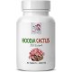 HOODIA GORDONII 1000MG 90 COMPRIMIDOS