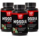 SUPER HOODIA GORDONII POWER EXTRACTO PURO DE HOODIA GORDONII 2000MG 3 FRASCOS 180 CAPSULAS