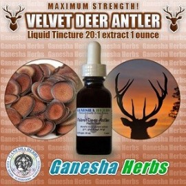 VELVET DEER ANTLER 30ML AUMENTAR TESTOSTERONA MUSCULAR