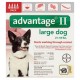 Advantage II pulgas y piojos Tratamiento tópico para perros 21-55 libras 4-Conde