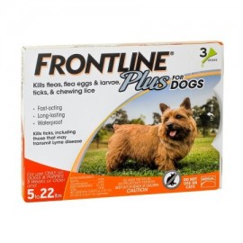 Frontline Plus Control de pulgas y garrapatas para perros pequeños de 5 a 22 libras 3 tratamientos